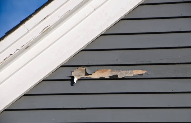Best Hoarding Cleanup  in Syracuse, UT
